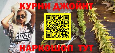твердый Бийск